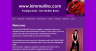  - Musician's website
